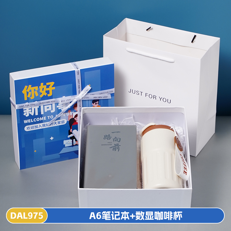 开业礼品新员工入职伴手礼保温杯笔记本商务礼品套装DAL975