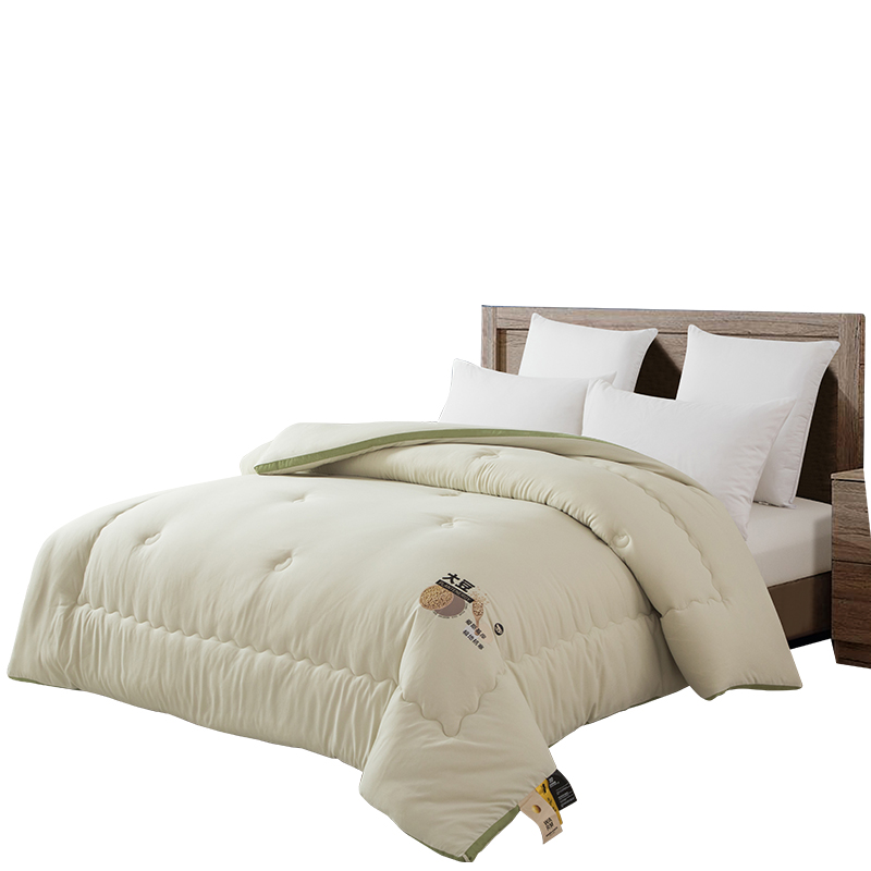 芳恩FN-B6094黄金大豆春秋被200x230cm