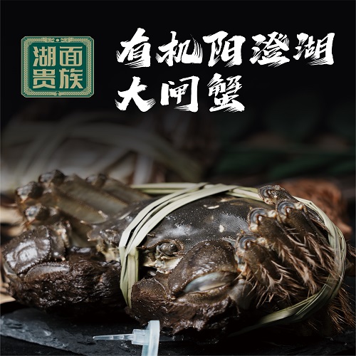 湖面贵族有机大闸蟹2398型