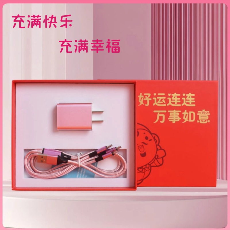 财滚滚快充插头快充数据线套装