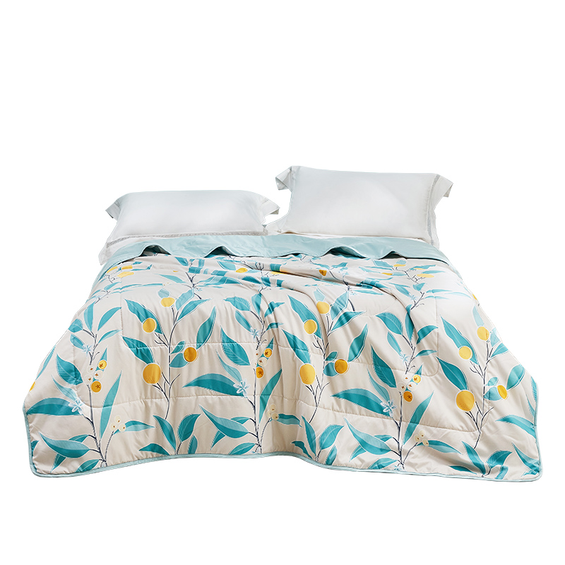 罗莱芬梦清凉夏被200*230cm