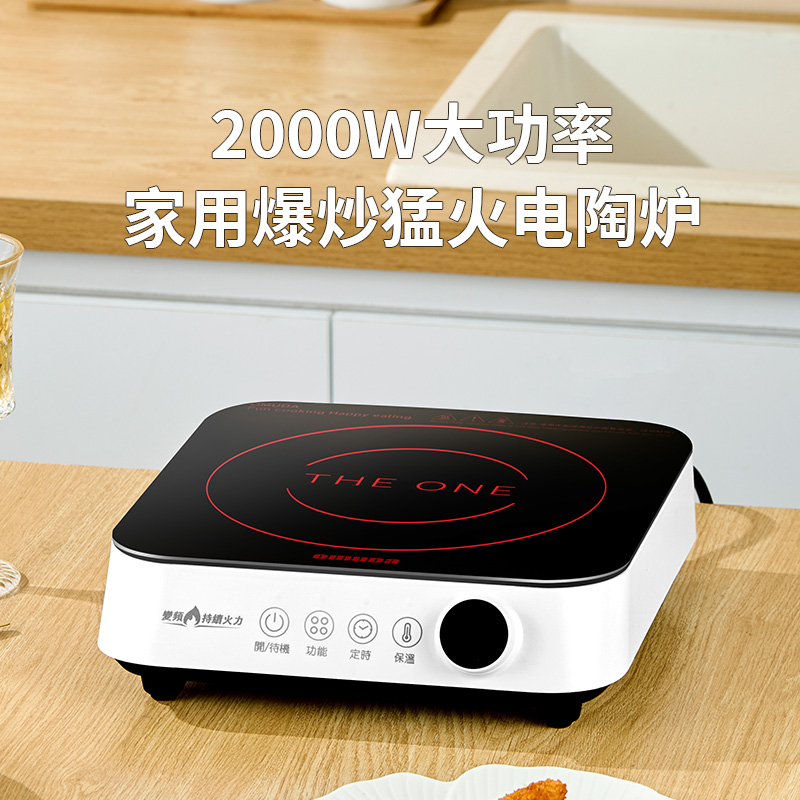 欧美达多功能电陶炉WG200-DTL-CL10