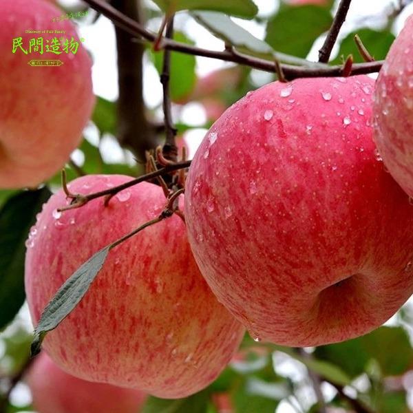 民间造物山东烟台红富士苹果大果4.5斤彩箱装