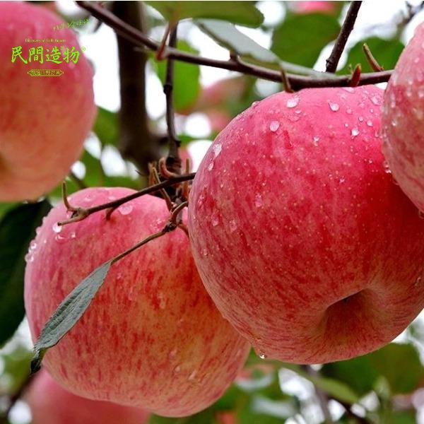 民间造物山东烟台红富士苹果大果彩箱8斤
