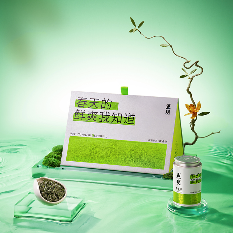 鱼玥高山黄金茶明前绿茶120g（40g*3罐）