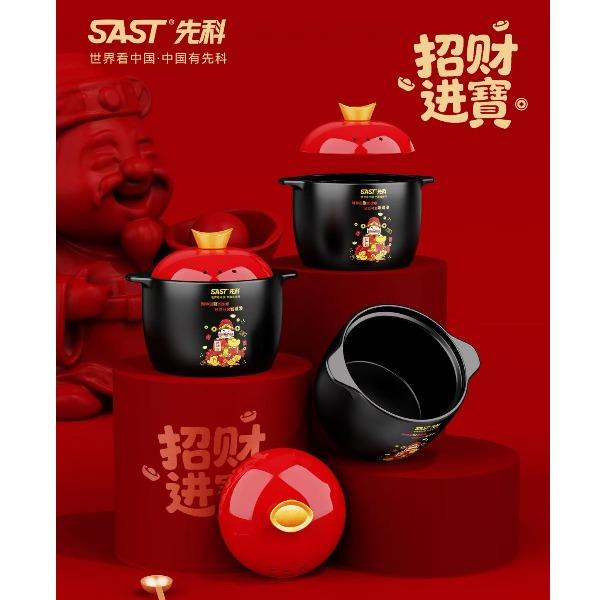 先科招财进宝养生陶瓷煲DH-5065
